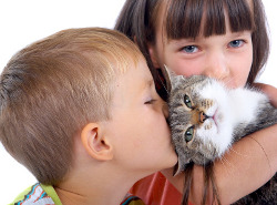 Ученые разрешили семьям с детьми заводить кошек